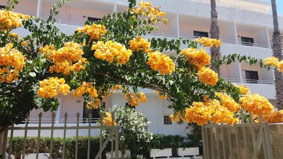 Kardamena Holiday Apartments エクステリア 写真