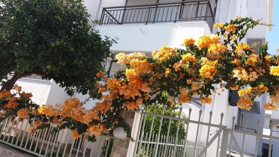 Kardamena Holiday Apartments エクステリア 写真
